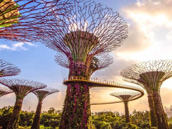 SEACE2023 Cultural Event: Gardens by the Bay
